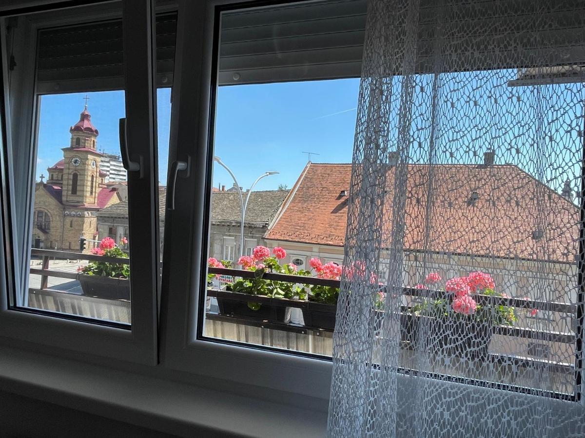 Sunny Apartment Vrsac Extérieur photo