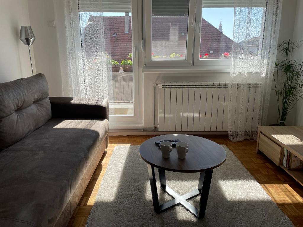 Sunny Apartment Vrsac Extérieur photo