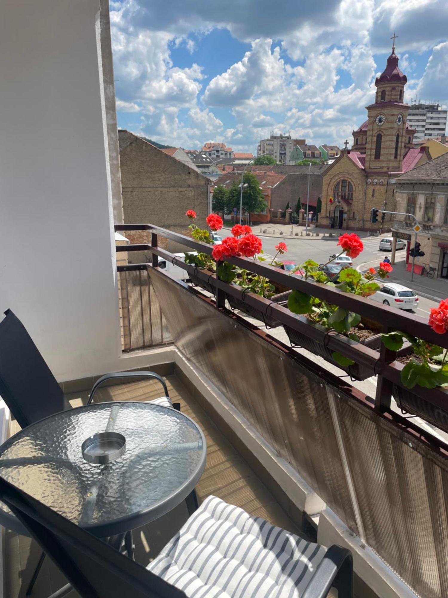 Sunny Apartment Vrsac Extérieur photo